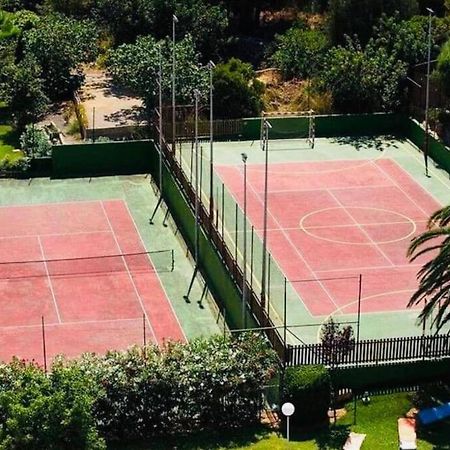 Verano Eterno En Mallorca - Alcudia! מראה חיצוני תמונה