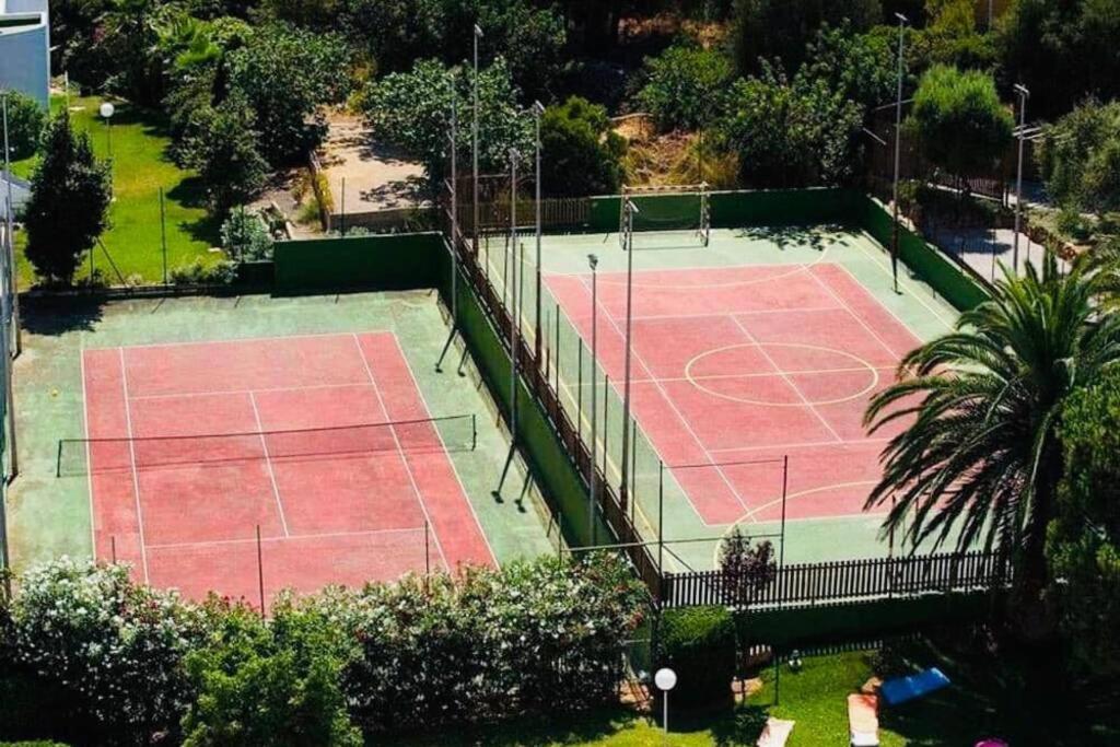 Verano Eterno En Mallorca - Alcudia! מראה חיצוני תמונה